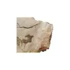 Plaster Kasztanowca 94x72x9cm