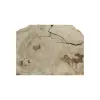 Plaster Kasztanowca 94x72x9cm