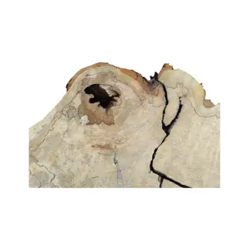 Plaster Kasztanowca 94x72x9cm