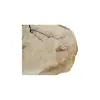 Plaster Kasztanowca 80x66x8cm