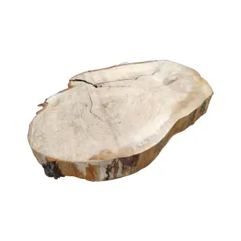 Plaster Kasztanowca 80x66x8cm