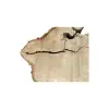 Plaster Kasztanowca 98x76x10cm w Dwóch Kawałkach