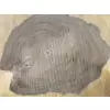 Plaster Orzecha Włoskiego 46x38x5cm