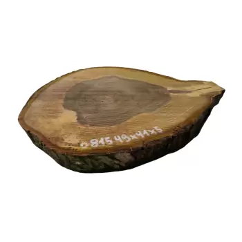 Plaster Orzecha Włoskiego 49x41x5cm