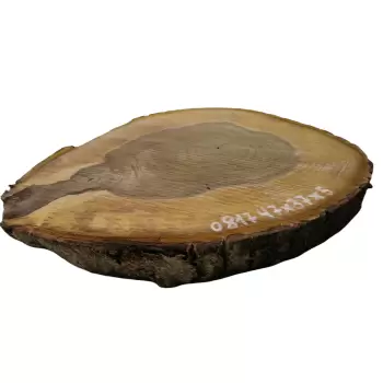 Plaster Orzecha Włoskiego 47x37x5cm