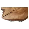 Plaster Orzecha Włoskiego 45x39x6cm