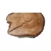 Plaster Orzecha Włoskiego 45x39x6cm