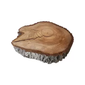 Plaster Orzecha Włoskiego 45x39x6cm
