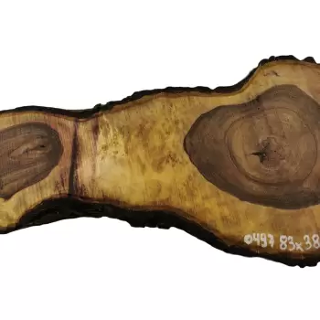 Plaster Orzecha Włoskiego 83x38x7cm