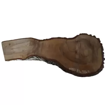 Plaster Orzecha Włoskiego 83x38x7cm