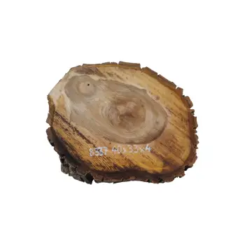 Plaster Orzecha Włoskiego 40x33x4cm