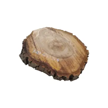 Plaster Orzecha Włoskiego 40x33x4cm