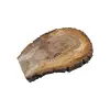 Plaster Orzecha Włoskiego 44x33x4cm