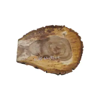 Plaster Orzecha Włoskiego 44x33x4cm