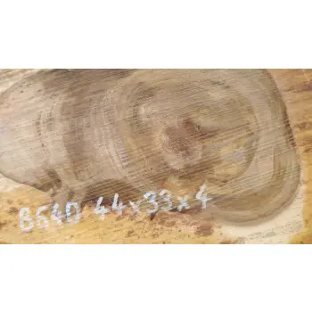 Plaster Orzecha Włoskiego 44x33x4cm