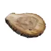 Plaster Orzecha Włoskiego 44x34x4cm