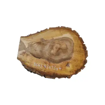 Plaster Orzecha Włoskiego 43x33x4cm