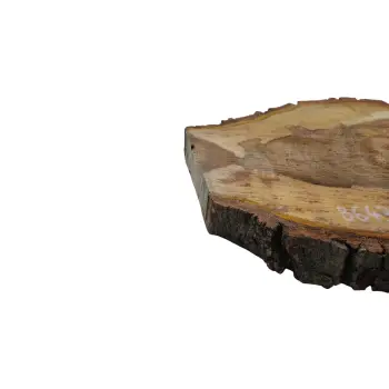 Plaster Orzecha Włoskiego 43x33x4cm