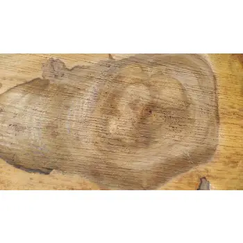 Plaster Orzecha Włoskiego 43x33x4cm