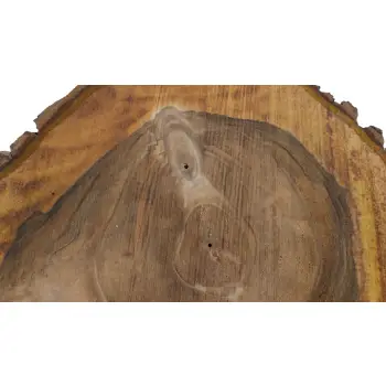 Plaster Orzecha Włoskiego 54x44x6cm