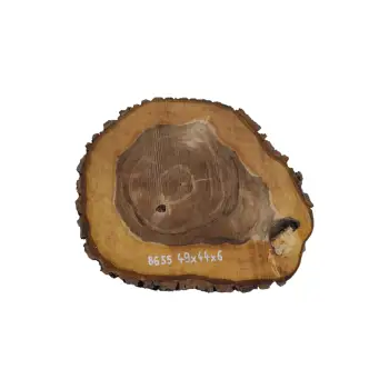 Plaster Orzecha Włoskiego 49x44x6cm