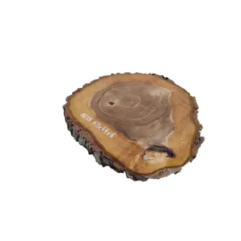 Plaster Orzecha Włoskiego 49x44x6cm