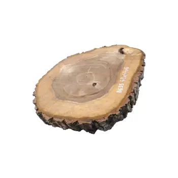 Plaster Orzecha Włoskiego 49x44x6cm