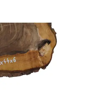 Plaster Orzecha Włoskiego 49x44x6cm