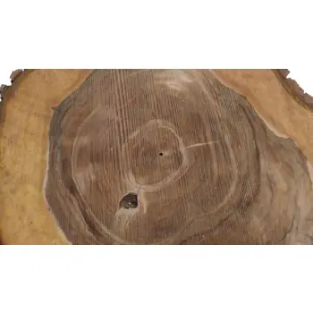 Plaster Orzecha Włoskiego 49x44x6cm