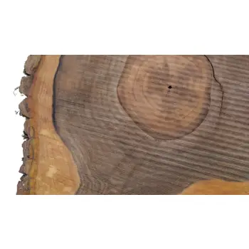 Plaster Orzecha Włoskiego 52x48x6cm