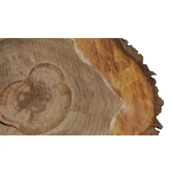 Plaster Orzecha Włoskiego 55x53x7cm