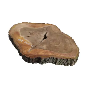 Plaster Orzecha Włoskiego 70x55x7cm