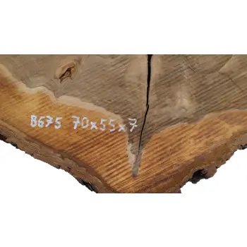 Plaster Orzecha Włoskiego 70x55x7cm