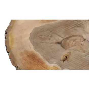 Plaster Orzecha Włoskiego 70x55x7cm