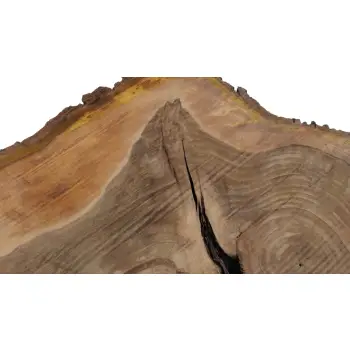 Plaster Orzecha Włoskiego 70x55x7cm