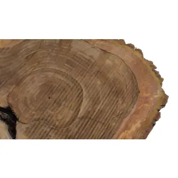 Plaster Orzecha Włoskiego 70x55x7cm