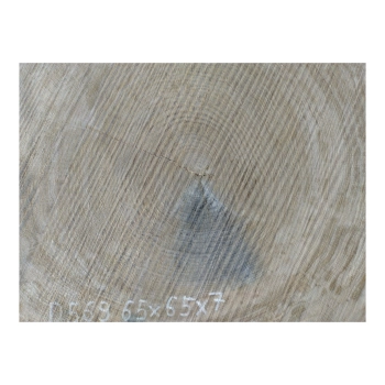 Plaster Dębowy 65x65x7cm Dąb