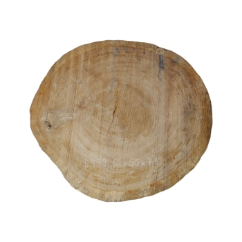 Plaster Dębowy 62x55x7,5cm Dąb