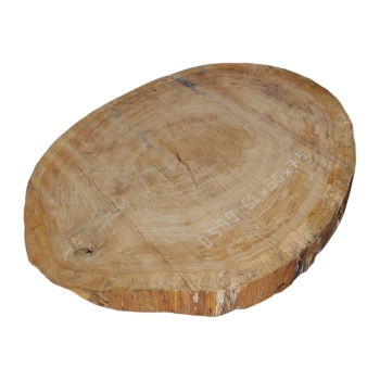 Plaster Dębowy 62x55x7,5cm Dąb