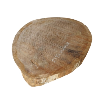 Plaster Dębowy 65x57x7cm Dąb