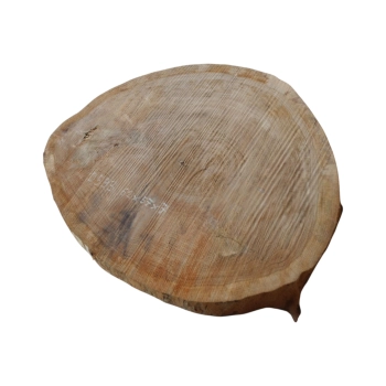 Plaster Dębowy 65x57x7cm Dąb