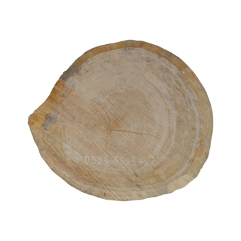 Plaster Dębowy 60x54x7cm Dąb