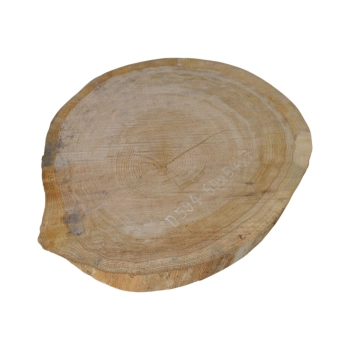 Plaster Dębowy 60x54x7cm Dąb