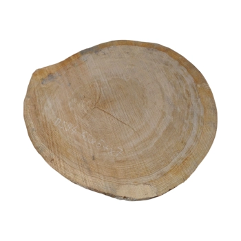 Plaster Dębowy 60x54x7cm Dąb