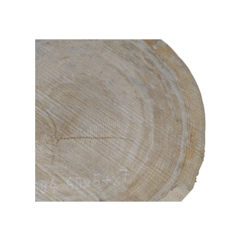 Plaster Dębowy 60x54x7cm Dąb