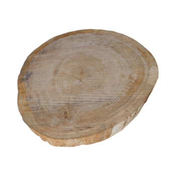 Plaster Dębowy 58x53x7cm Dąb
