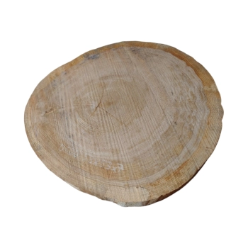 Plaster Dębowy 58x53x7cm Dąb