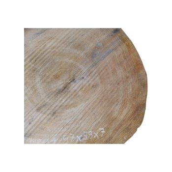 Plaster Dębowy 57x53x7cm Dąb