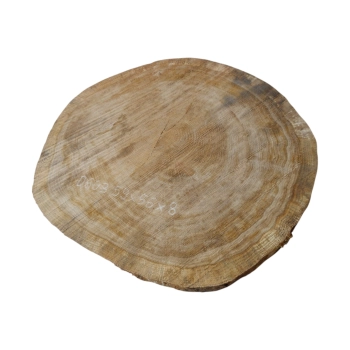 Plaster Dębowy 59x56x8cm Dąb