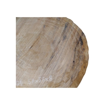 Plaster Dębowy 57x56x8cm Dąb